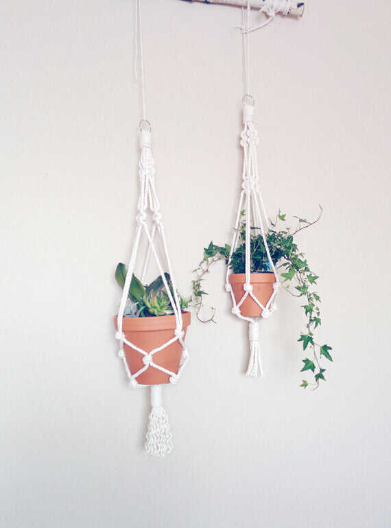 Hanging planter. Macrame plant hanger